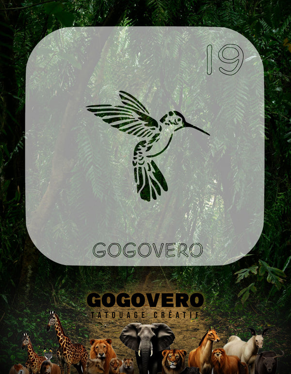 Colibri en plein vol