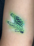 Tortue majestueuse