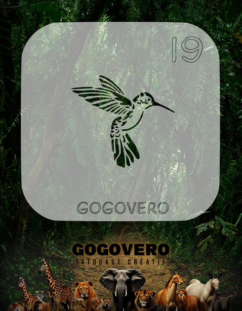 Colibri en plein vol