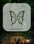 Splendide papillon
