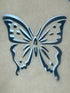 Splendide papillon