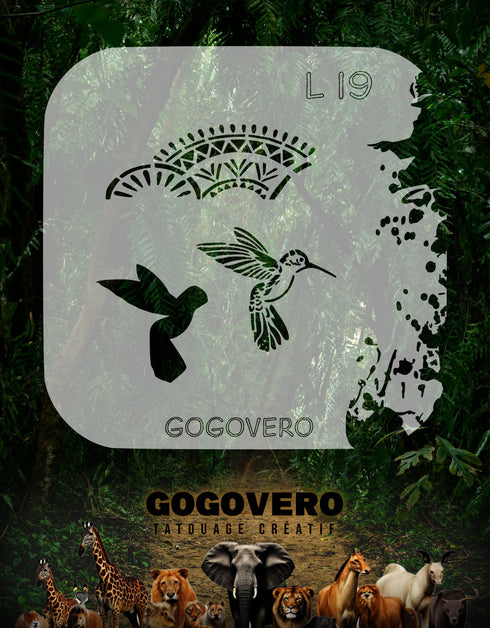 Colibri  en plein vol