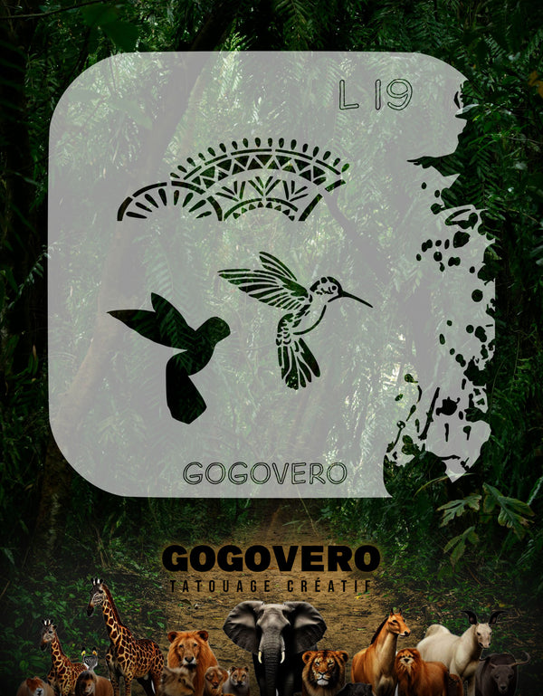 Colibri  en plein vol